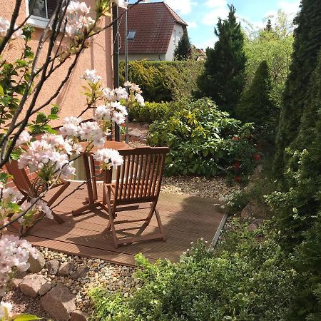 Ferienwohnung Storchenwiese In Nuthetal Ot Saarmund ภายนอก รูปภาพ