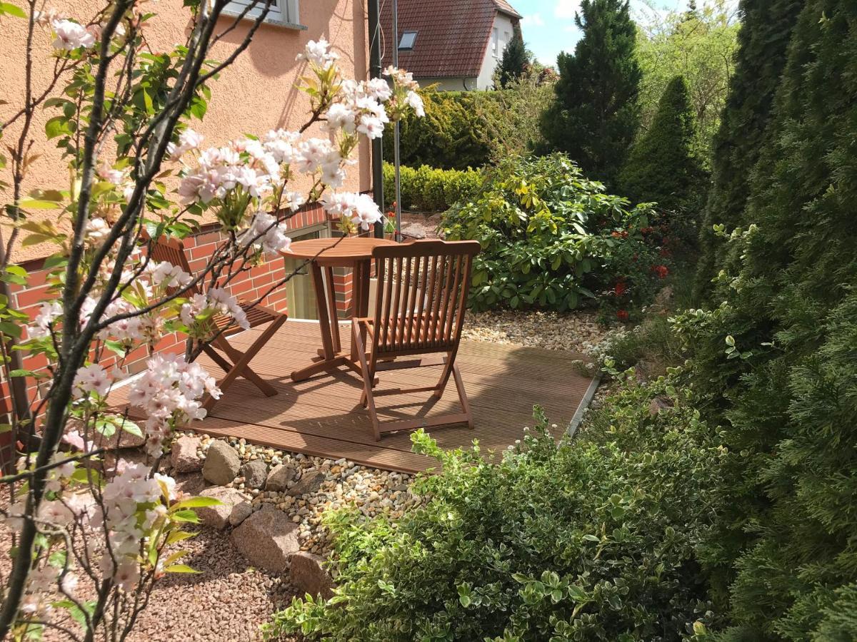 Ferienwohnung Storchenwiese In Nuthetal Ot Saarmund ภายนอก รูปภาพ