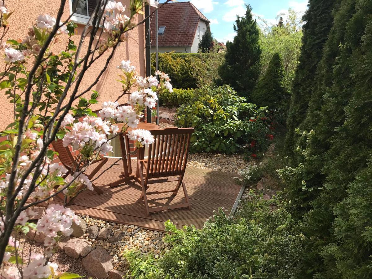 Ferienwohnung Storchenwiese In Nuthetal Ot Saarmund ภายนอก รูปภาพ